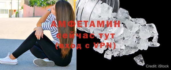 трава Балахна