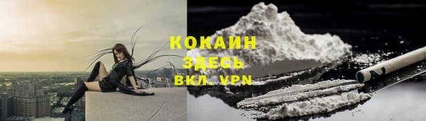 трава Балахна