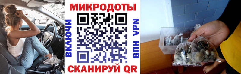 Галлюциногенные грибы мицелий  Няндома 